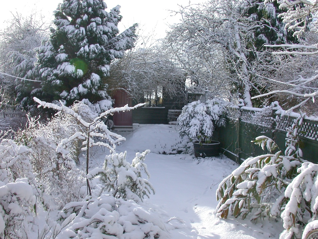 DisplayLink started, as Newnham Research, in this fine garden shed in Cambridge